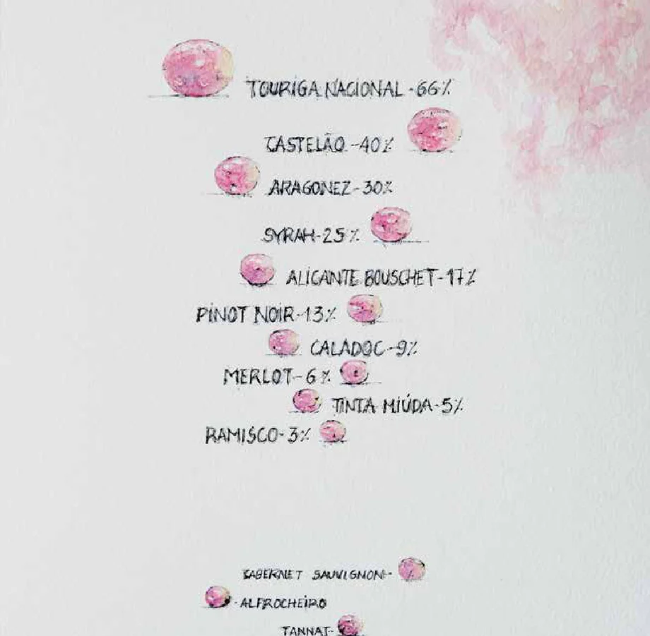 Castas tintas eleitas pelos produtores dos Vinhos de Lisboa (% de produtores)