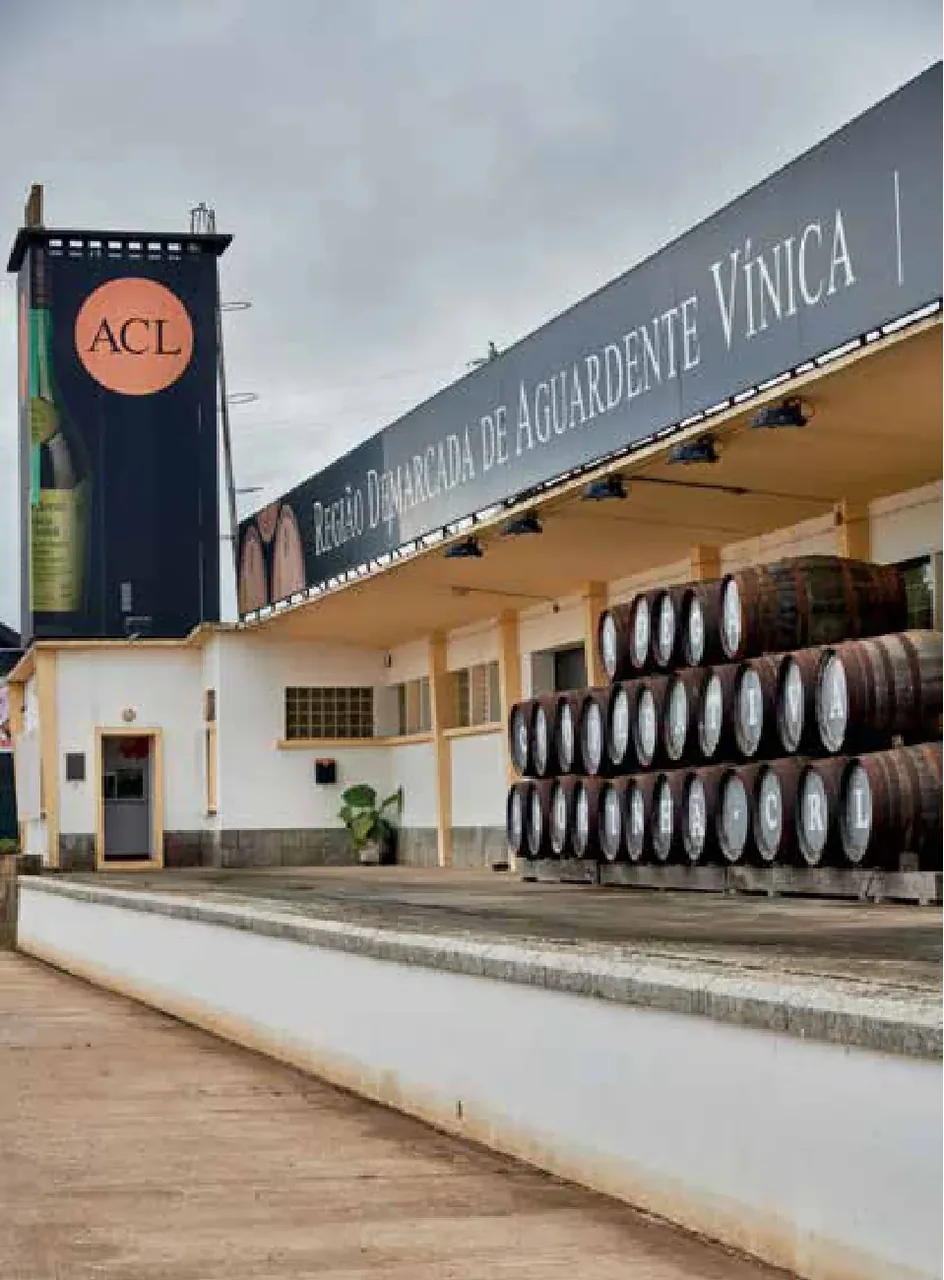 Adega Cooperativa da Lourinhã — fotografia 3