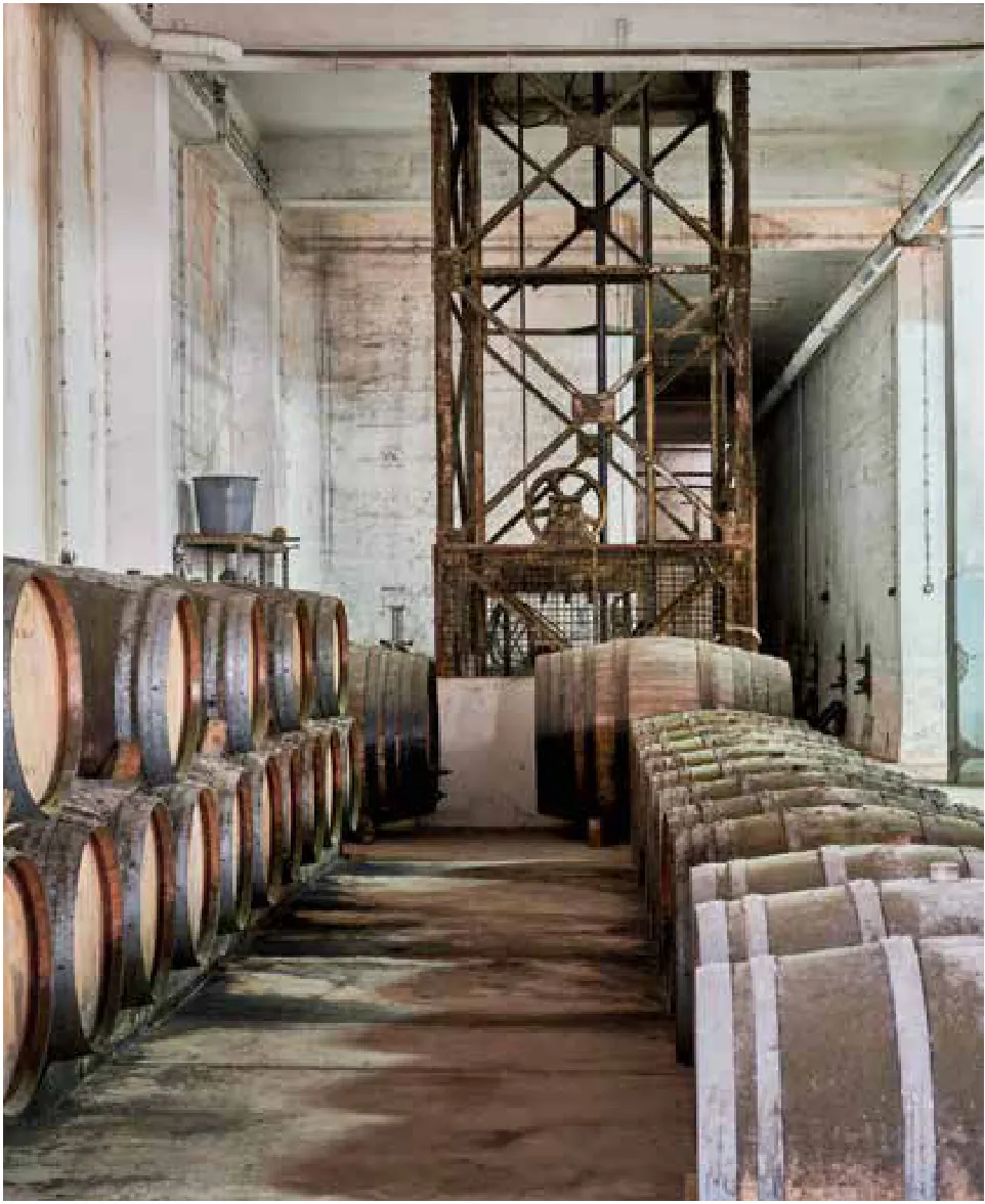 Adega de Arruda dos Vinhos — fotografia 3