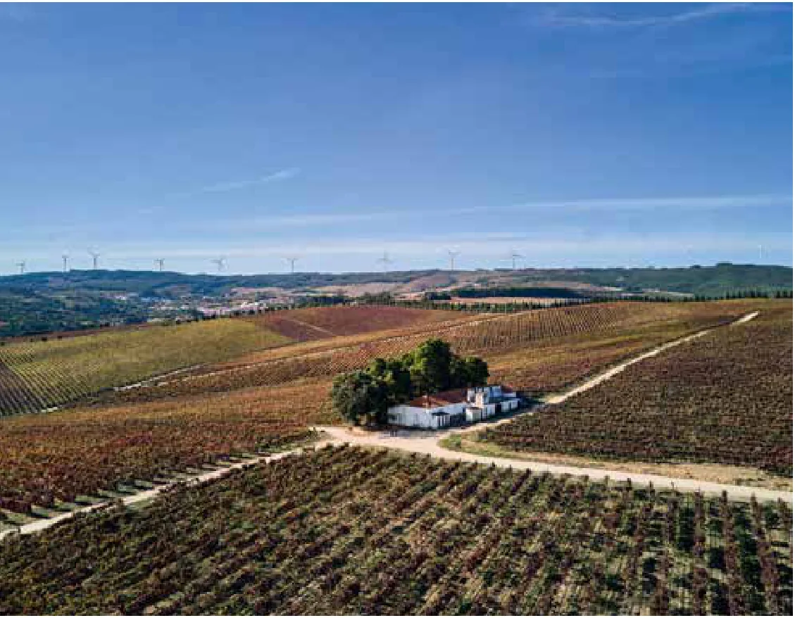 DFJ Vinhos