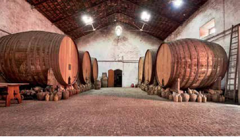 Enoport Wines — fotografia 5