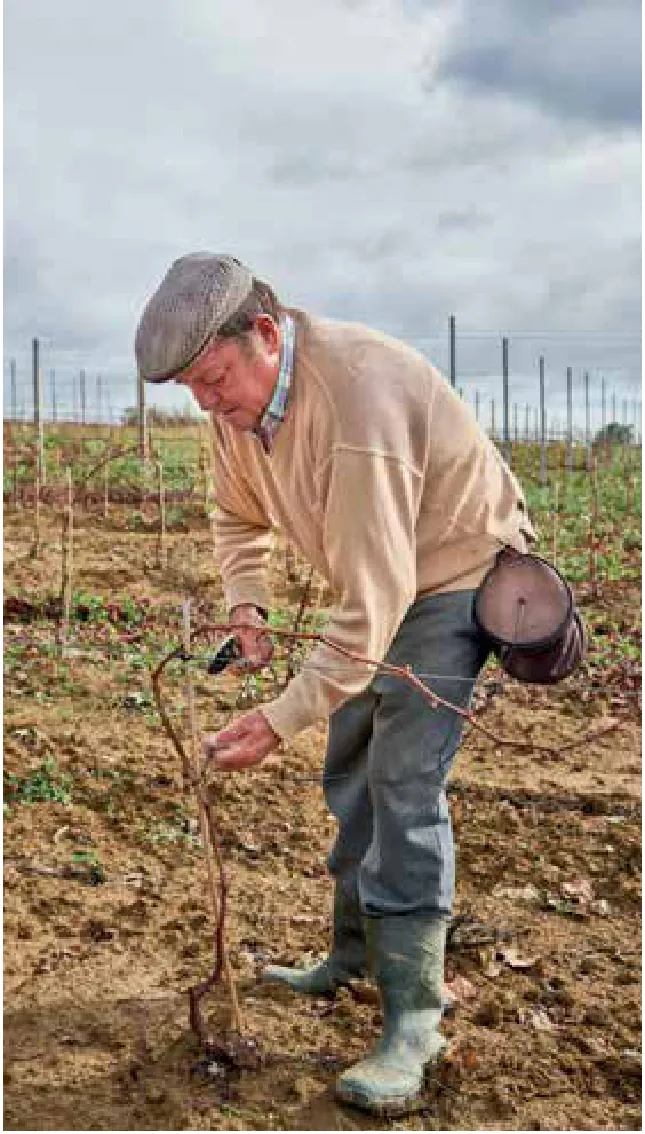Garrocha Wines — fotografia 5