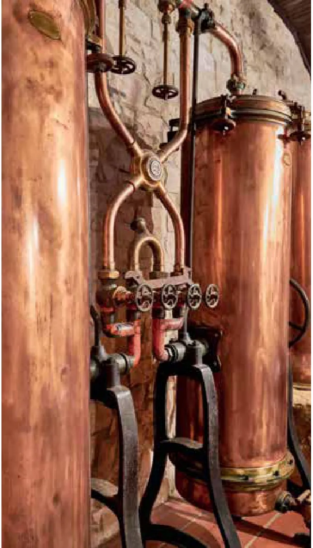 Garrocha Wines — fotografia 6