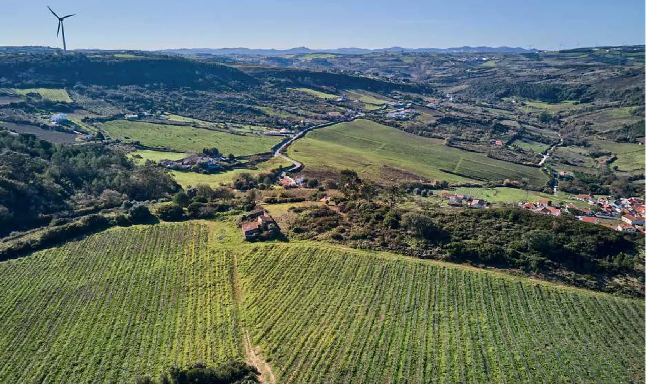 Monte Bluna