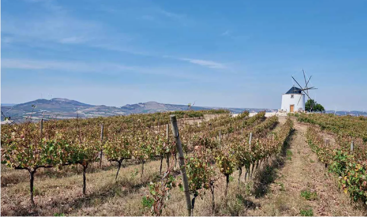 Quinta da Folgorosa