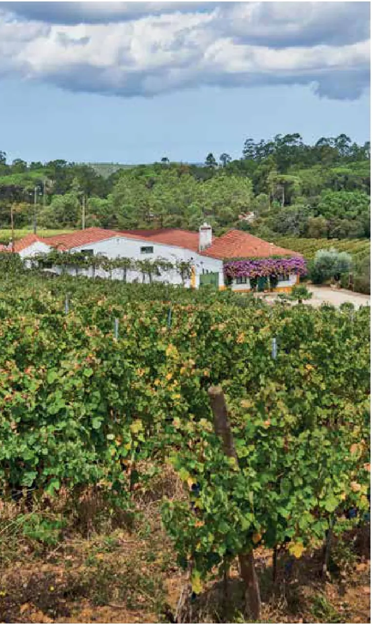 Quinta da Sapeira — fotografia 3