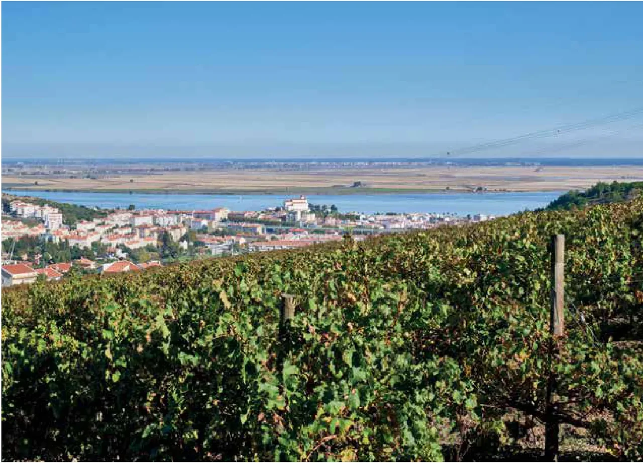 Quinta da Subserra