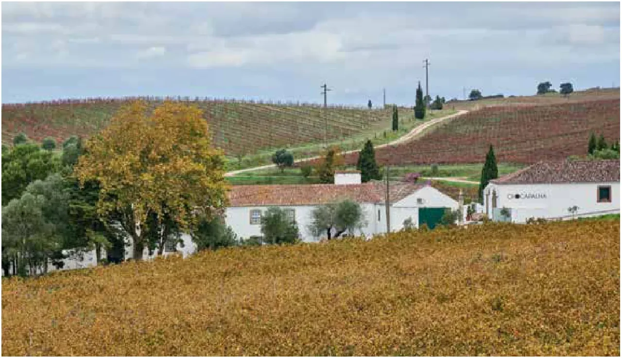 Quinta de Chocapalha