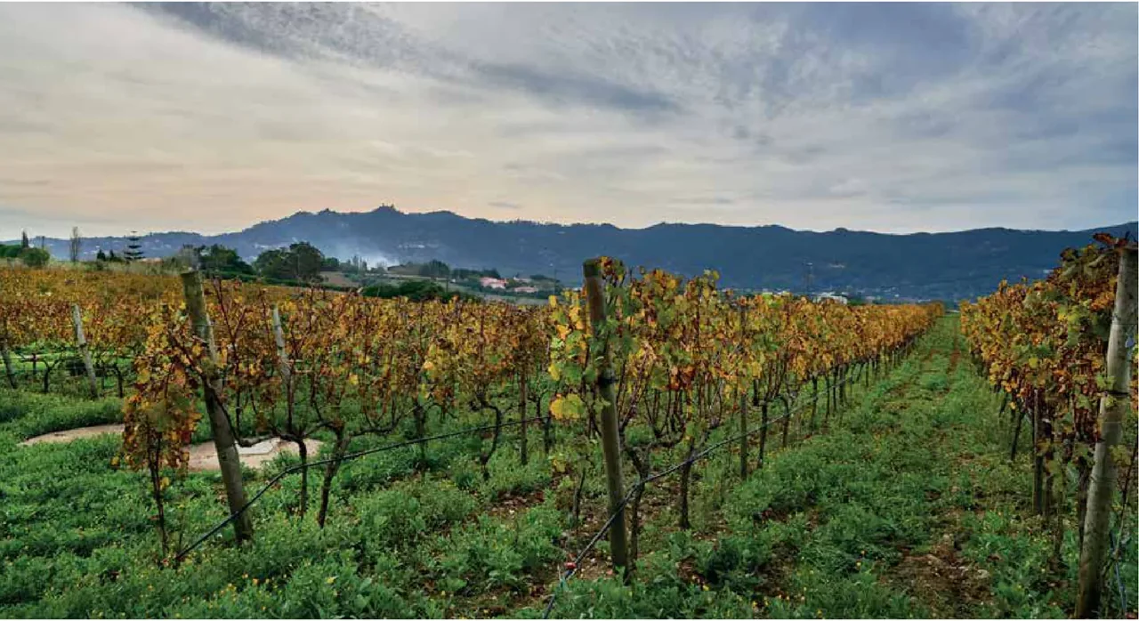 Quinta de San Michel