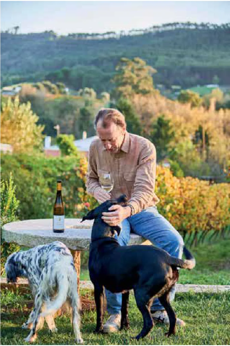 Quinta de Sant'Ana — fotografia 4