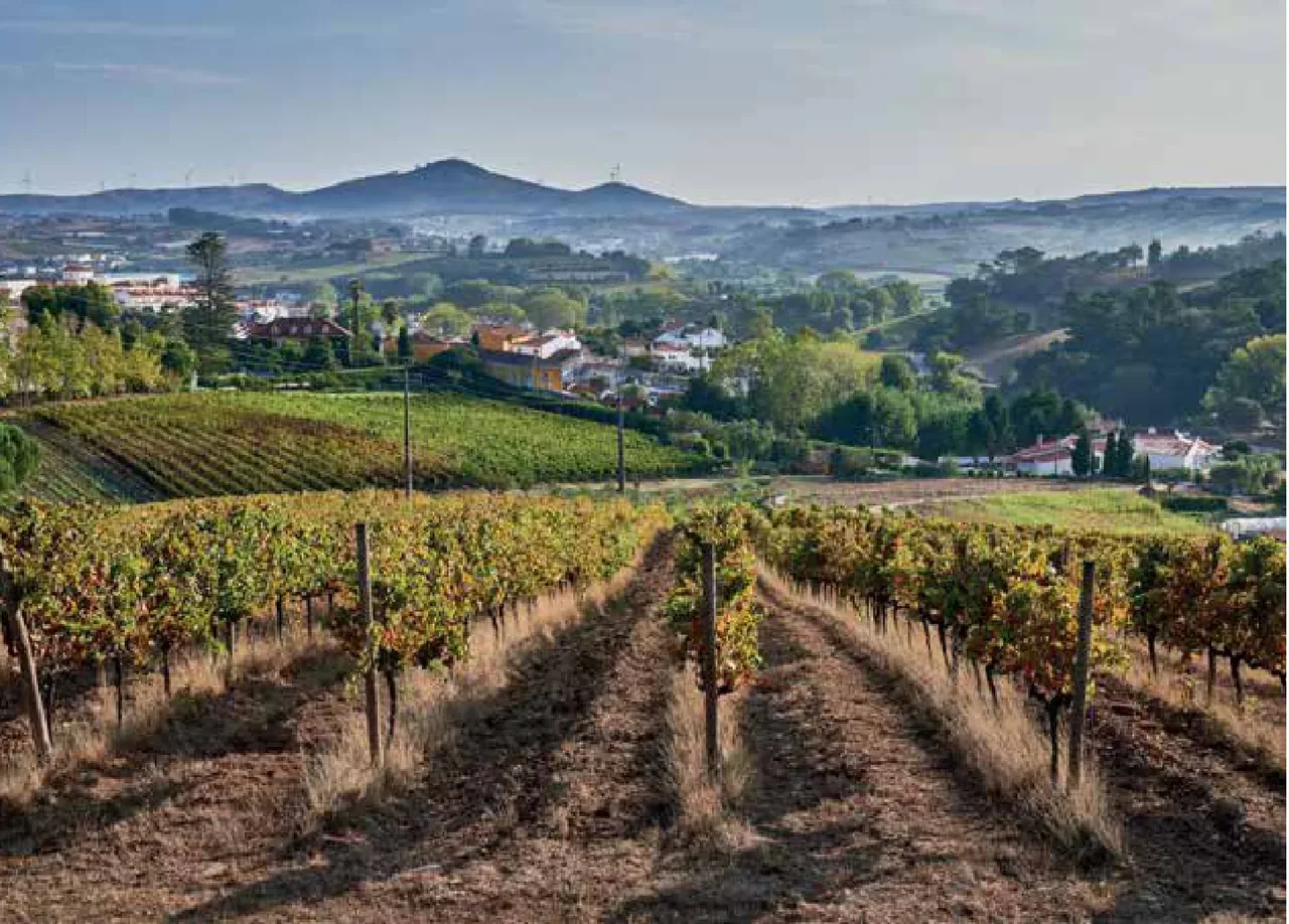 Quinta de Sant'Ana