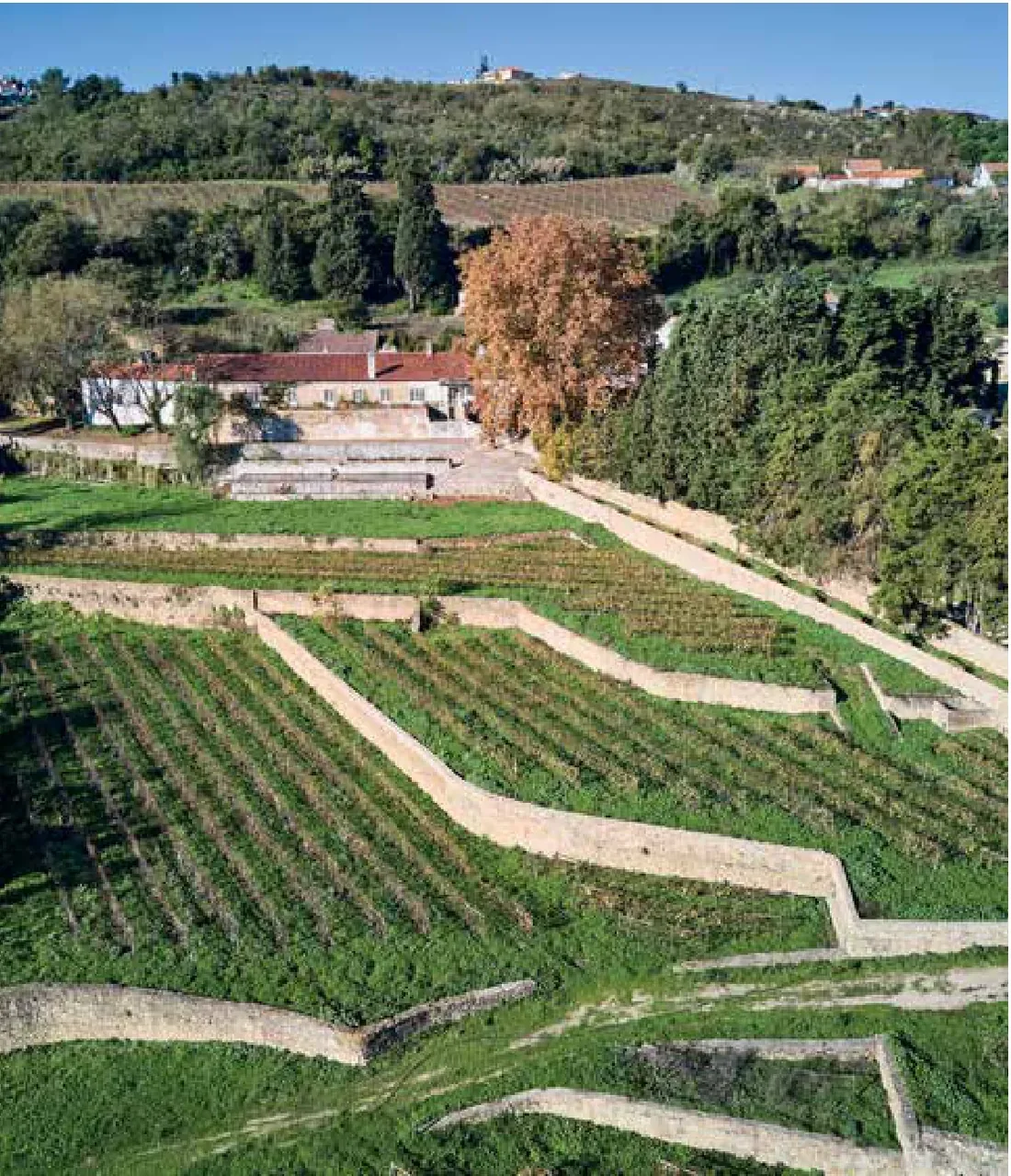 Quinta de São Bartolomeu — fotografia 3