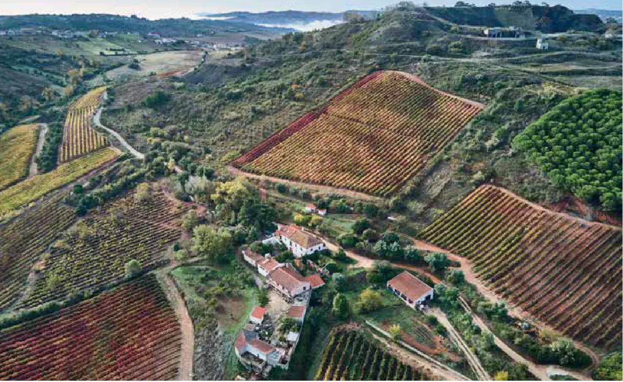Quinta de Vale Mourisco