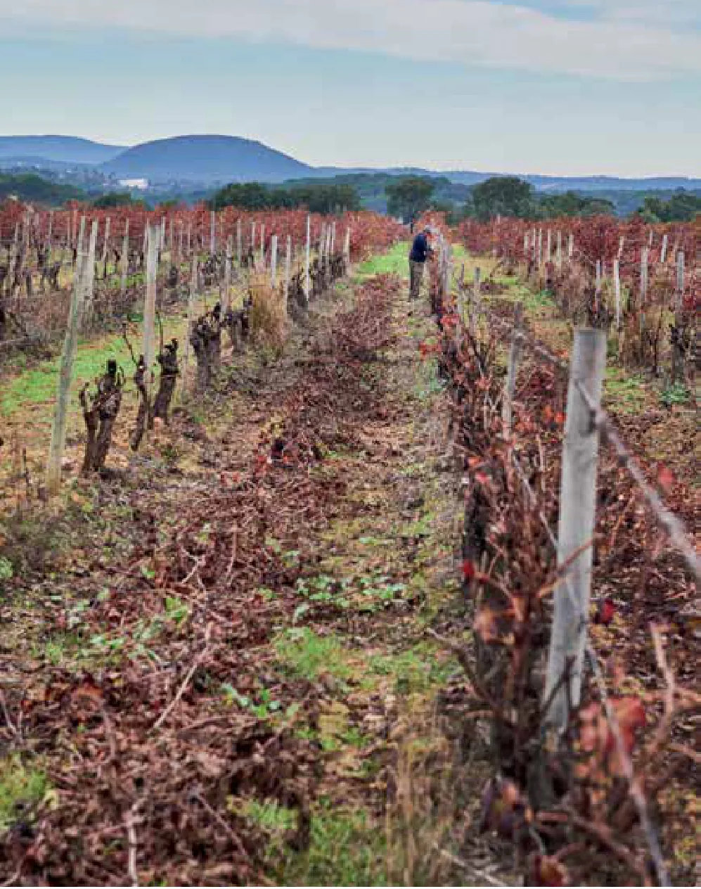 Quinta do Carneiro