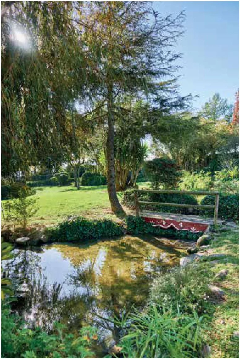 Quinta do Cerrado da Porta — fotografia 3