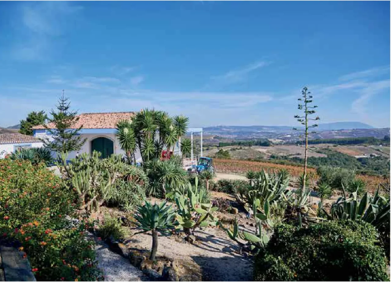 Quinta do Cerrado da Porta