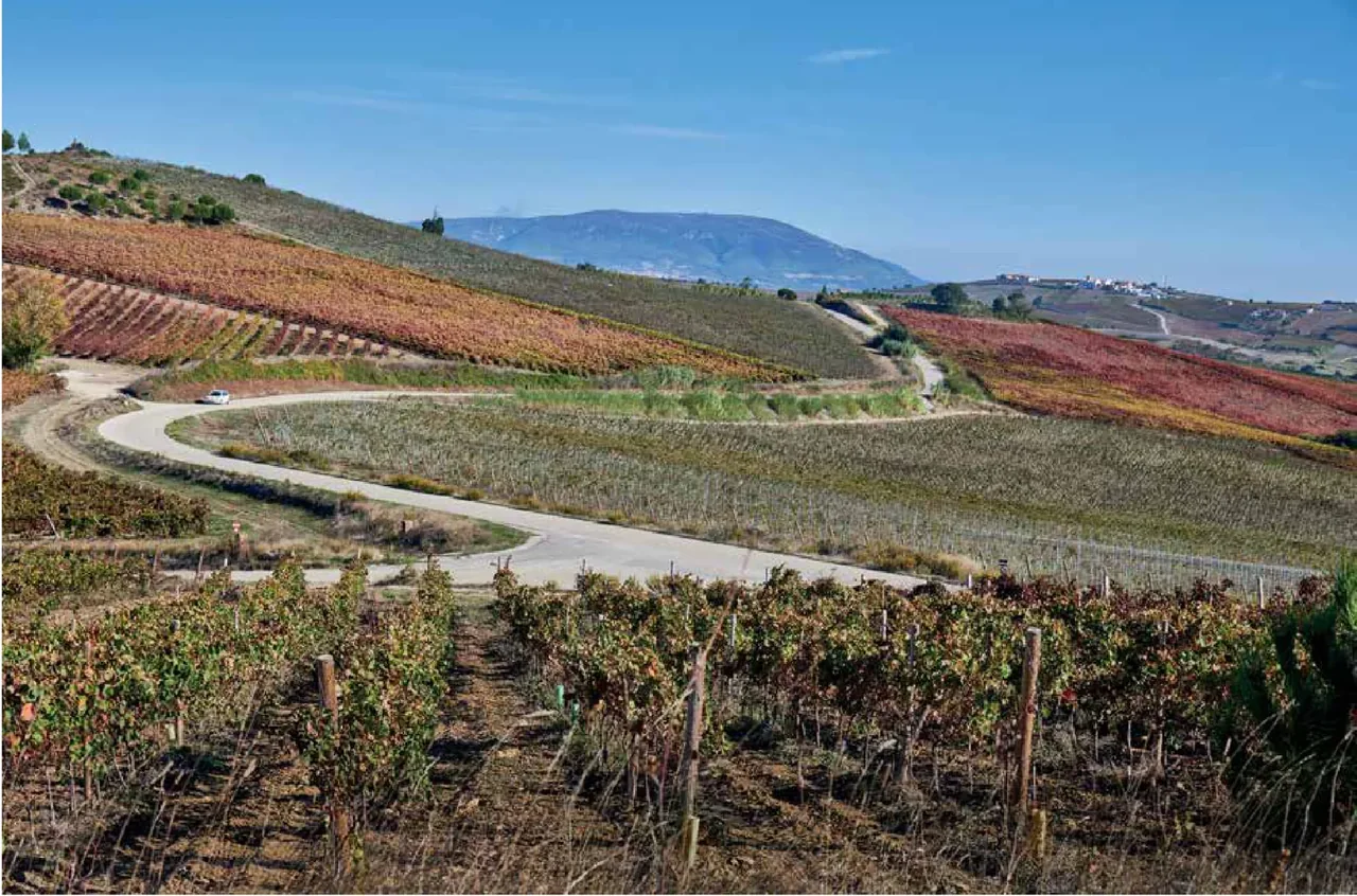 Quinta do Conde