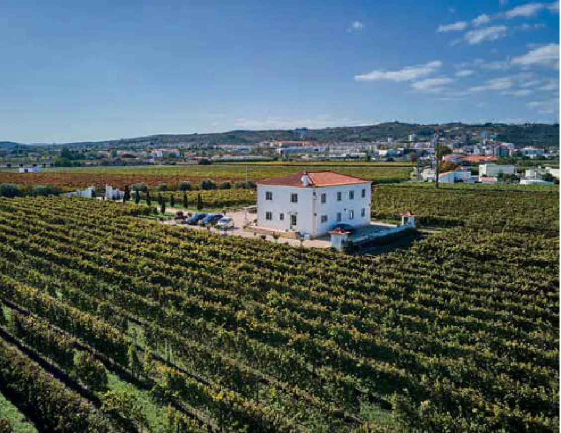 Quinta do Lagar Novo — fotografia 4