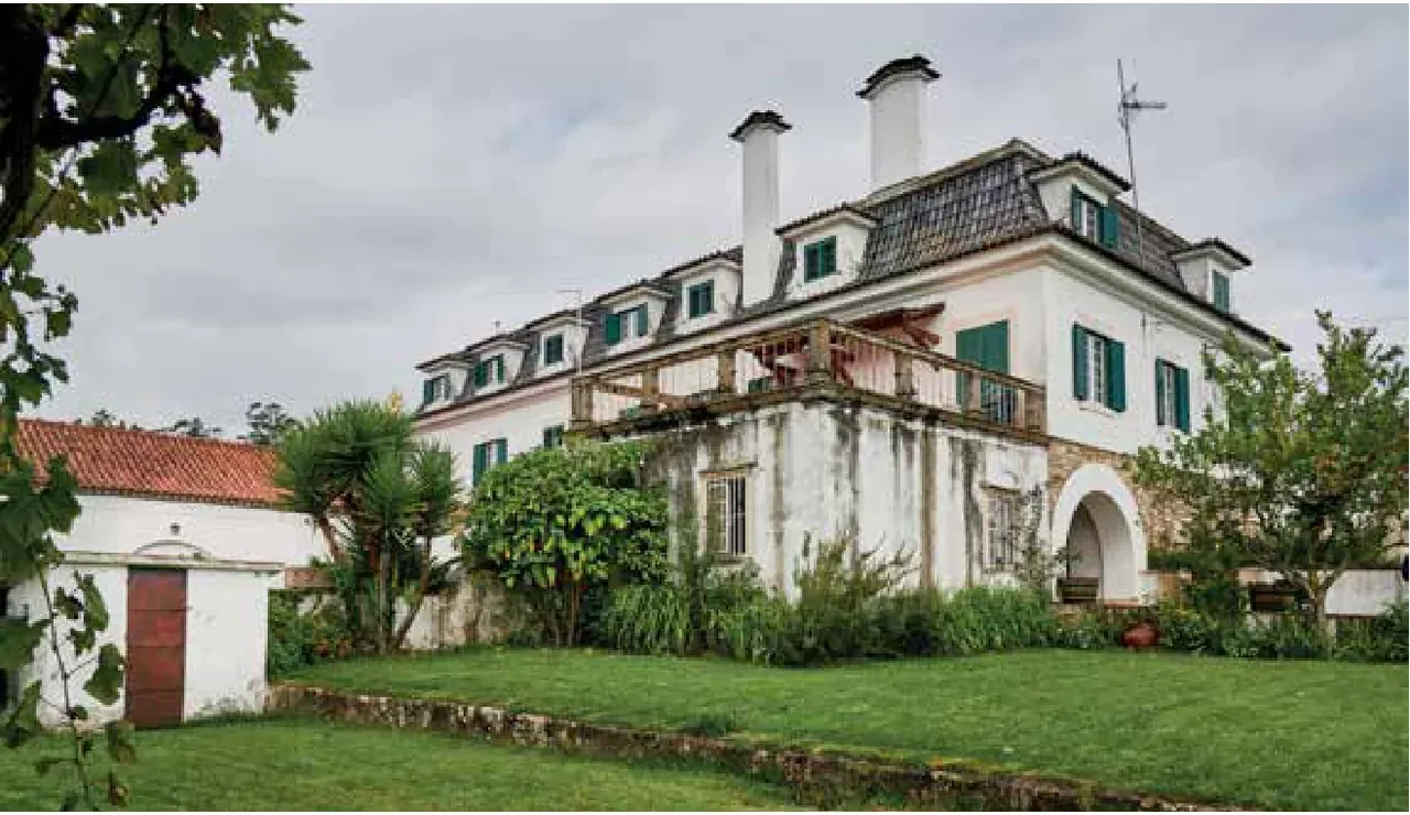 Quinta do Montalto — fotografia 4