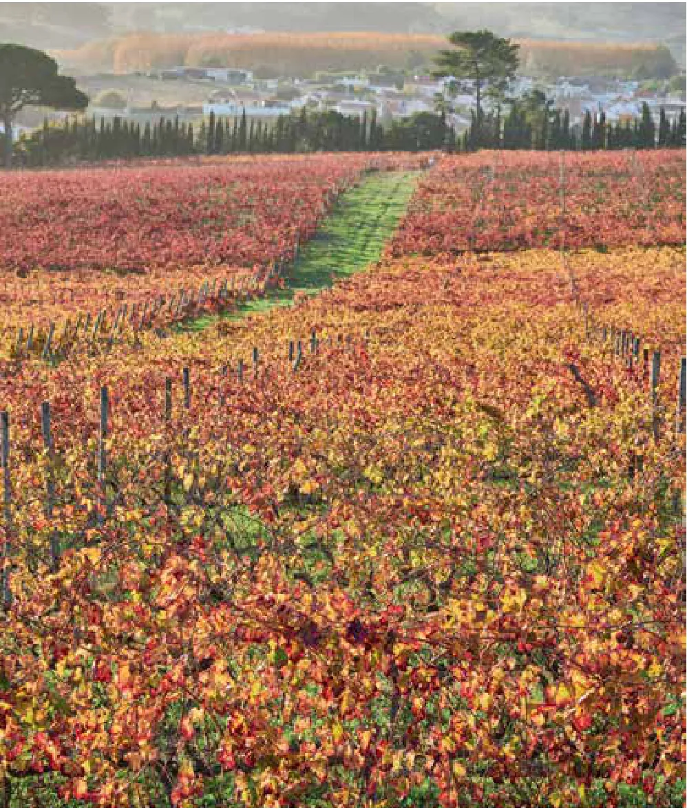 Quinta do Pinto — fotografia 3