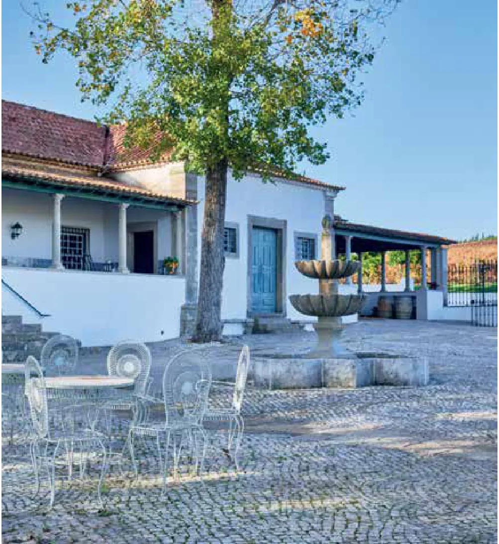 Quinta do Pinto — fotografia 4