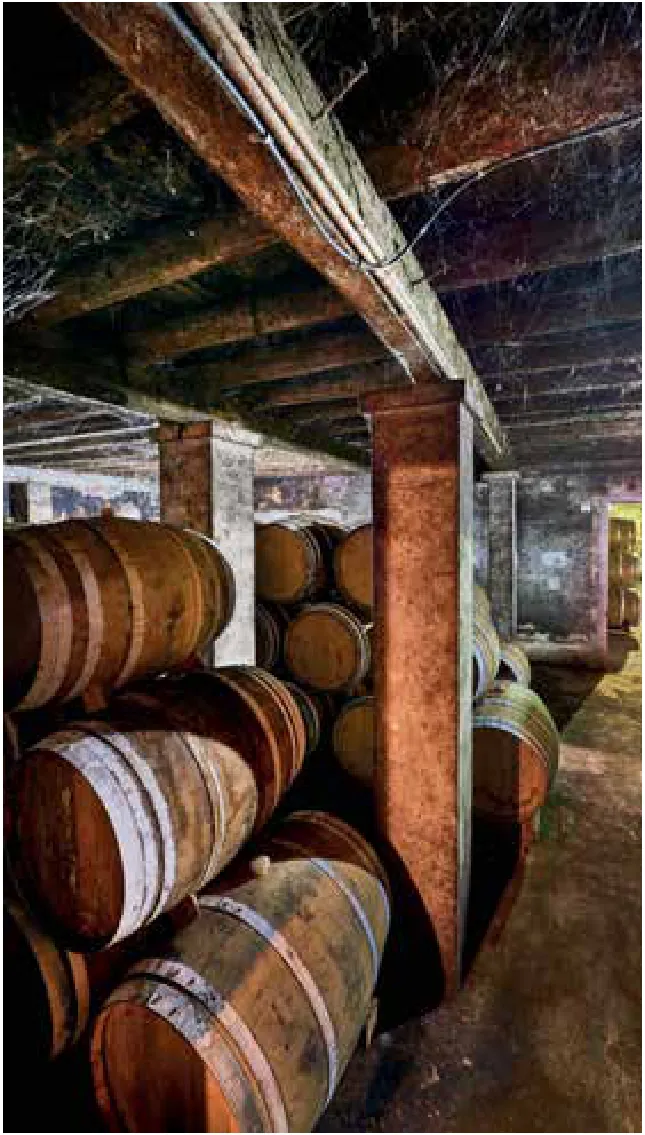 Quinta do Rol — fotografia 3