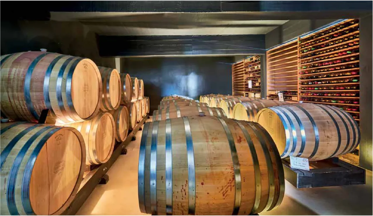 Vidigal Wines