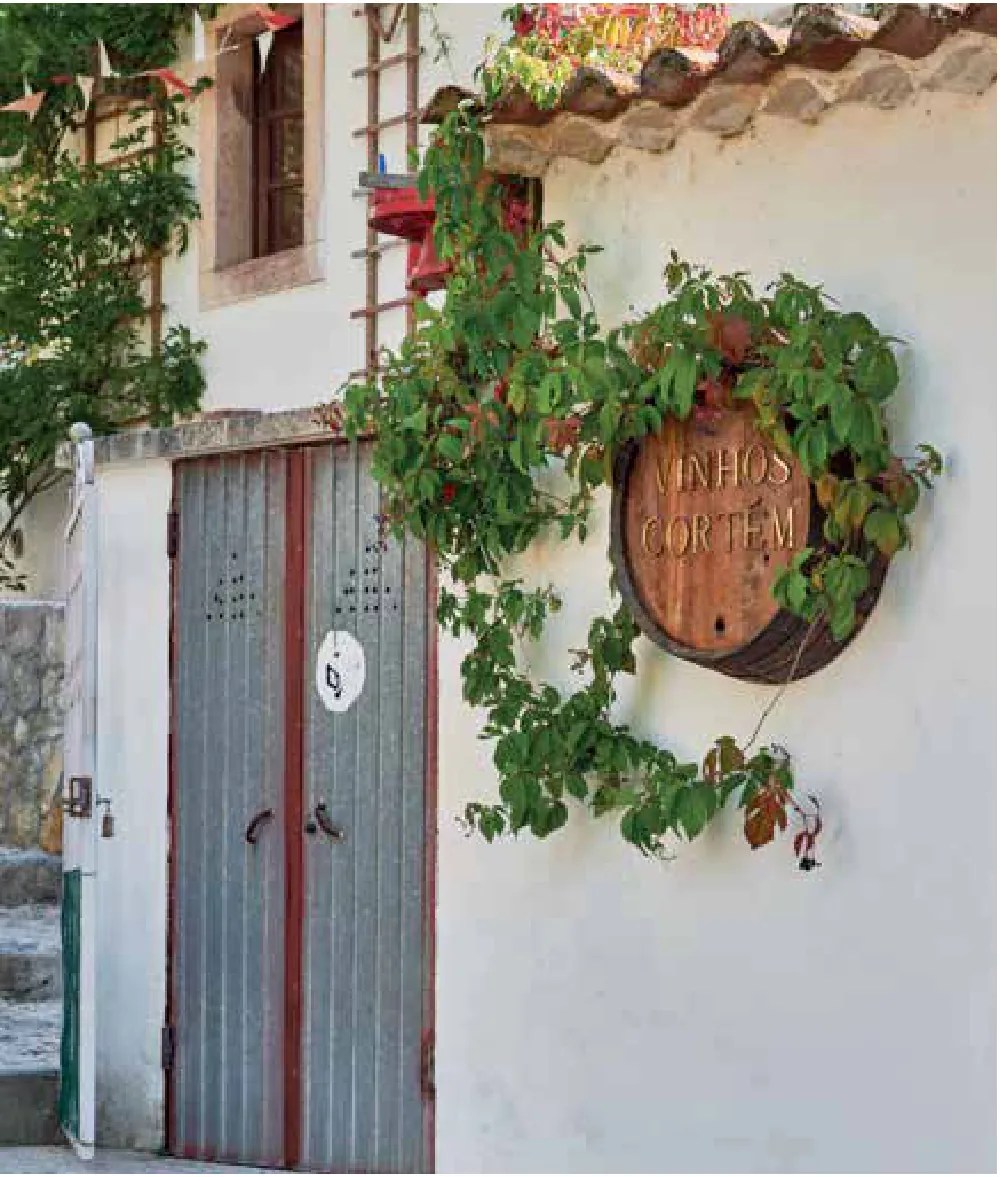 Vinhos Cortém — fotografia 4