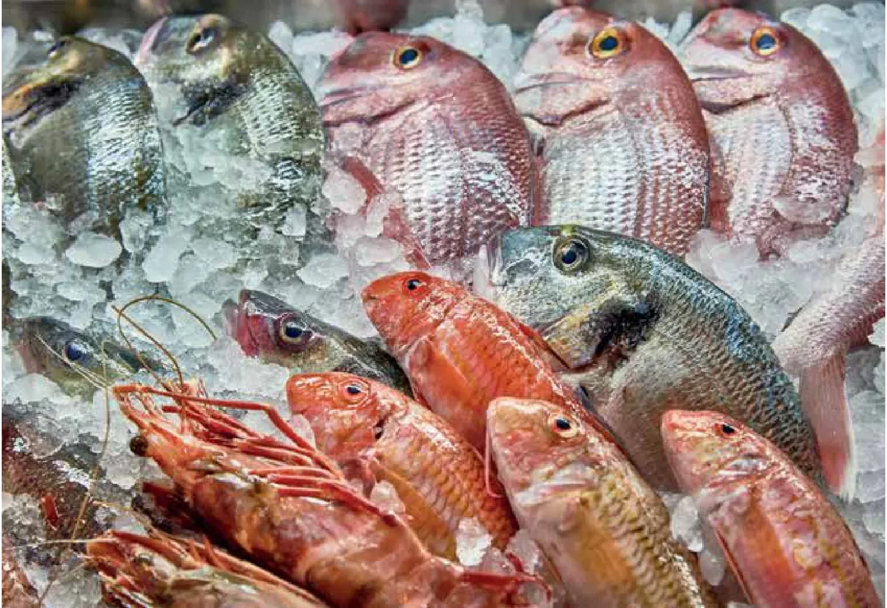 Festival Sabores do Mar