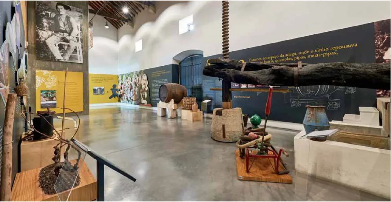 Museu do Vinho e da Vinha