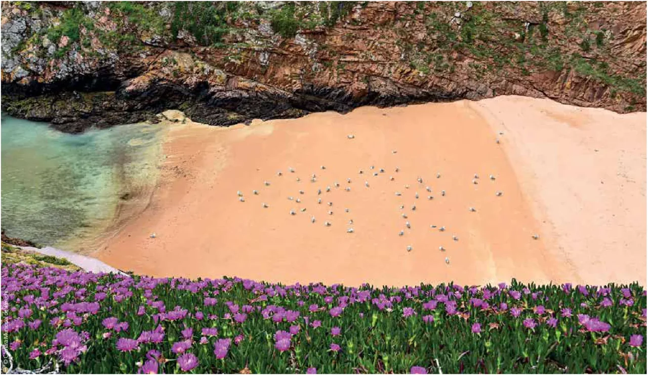 Arquipélago das Berlengas