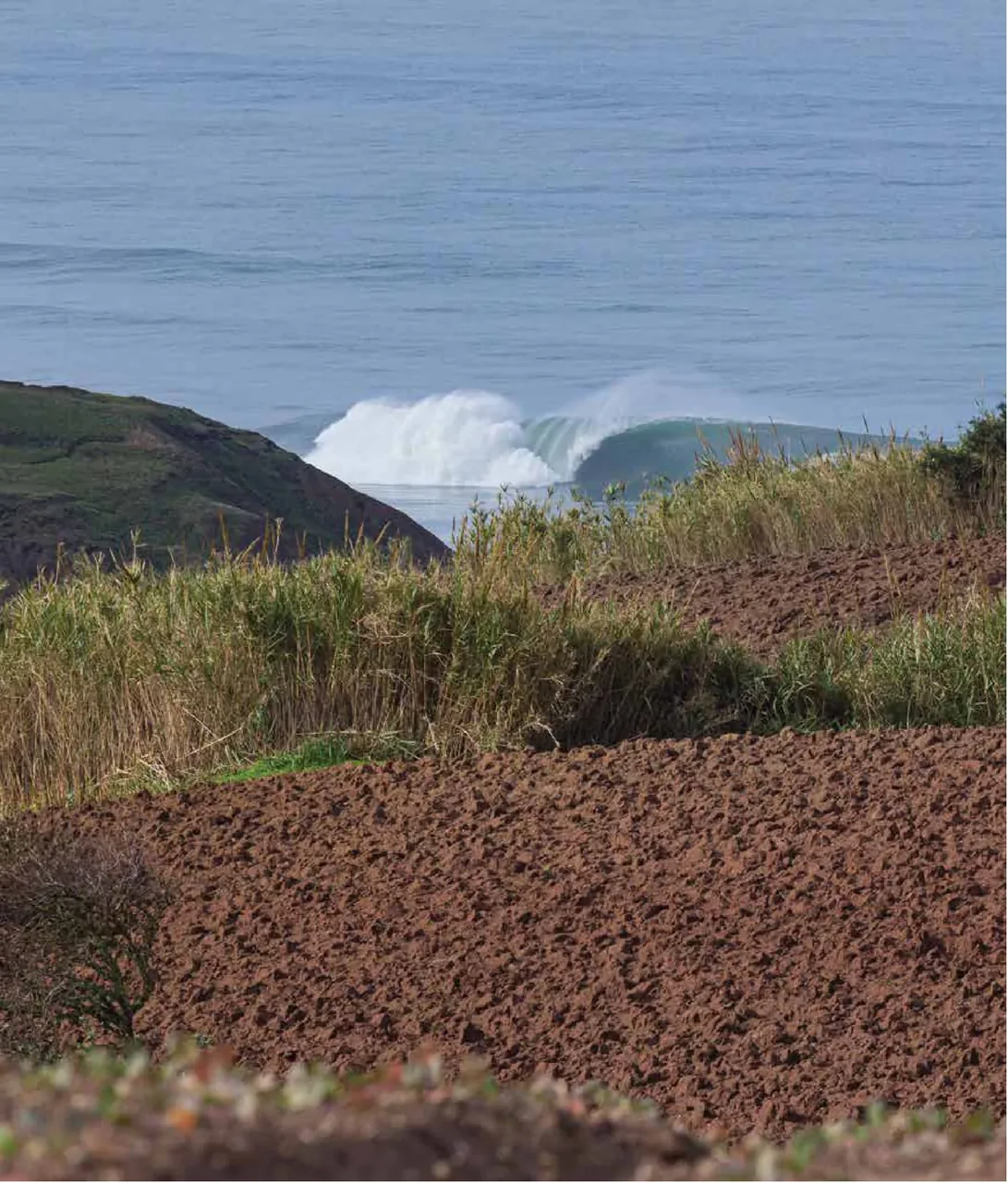 Praia da Peralta
