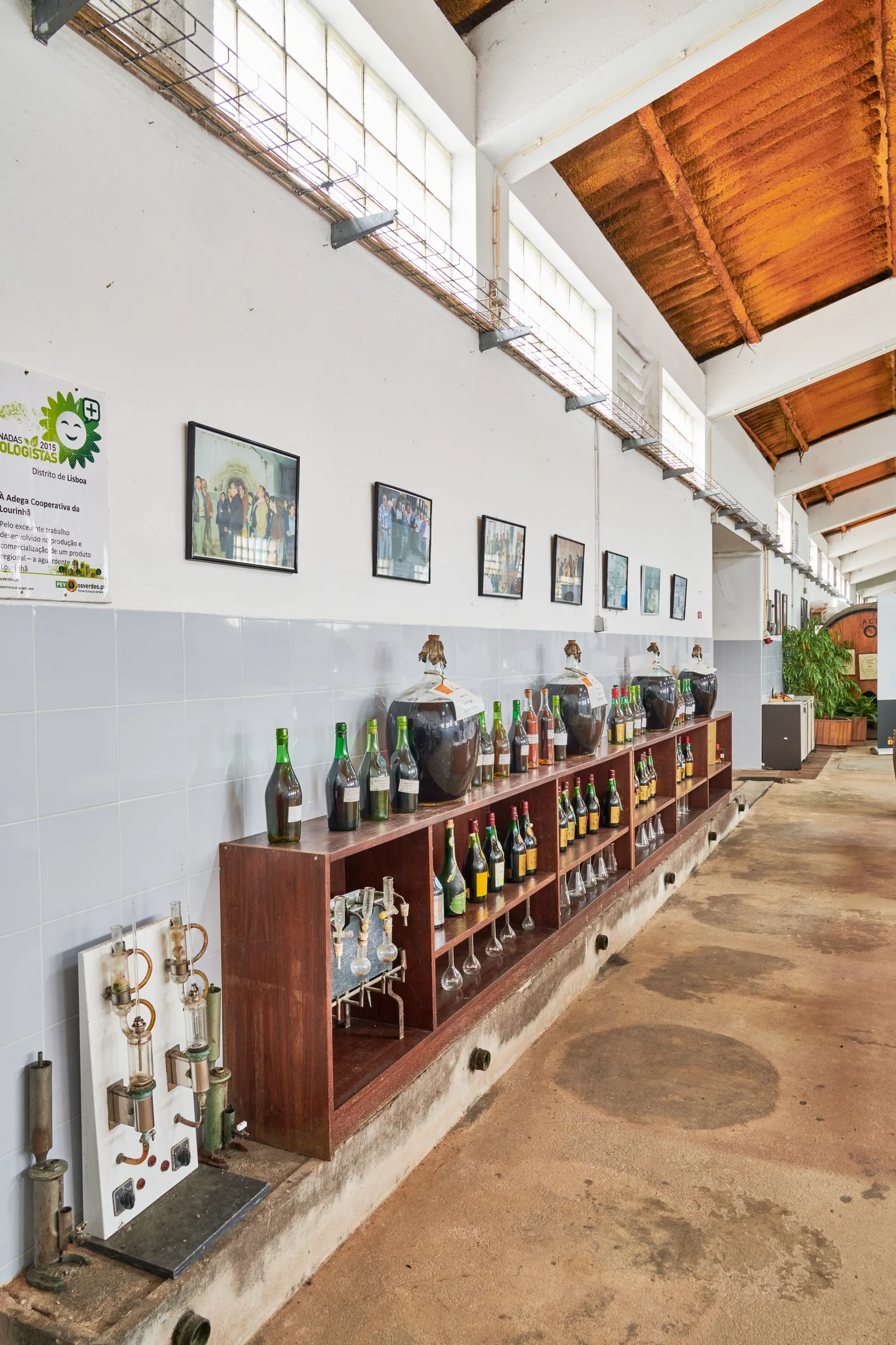 Adega Cooperativa da Lourinhã — fotografia 13