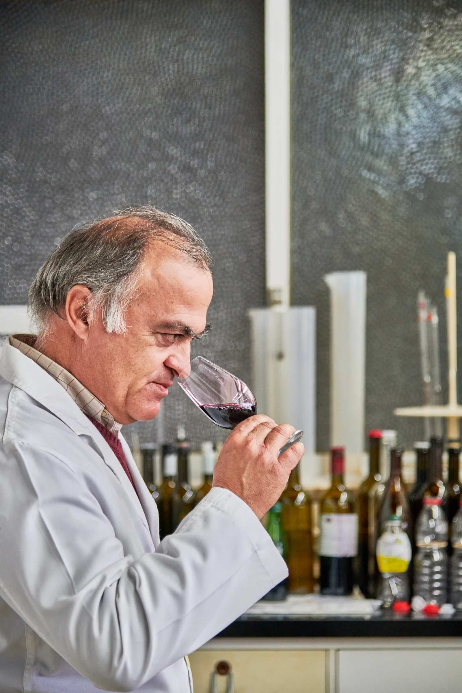 Adega de Arruda dos Vinhos — fotografia 4