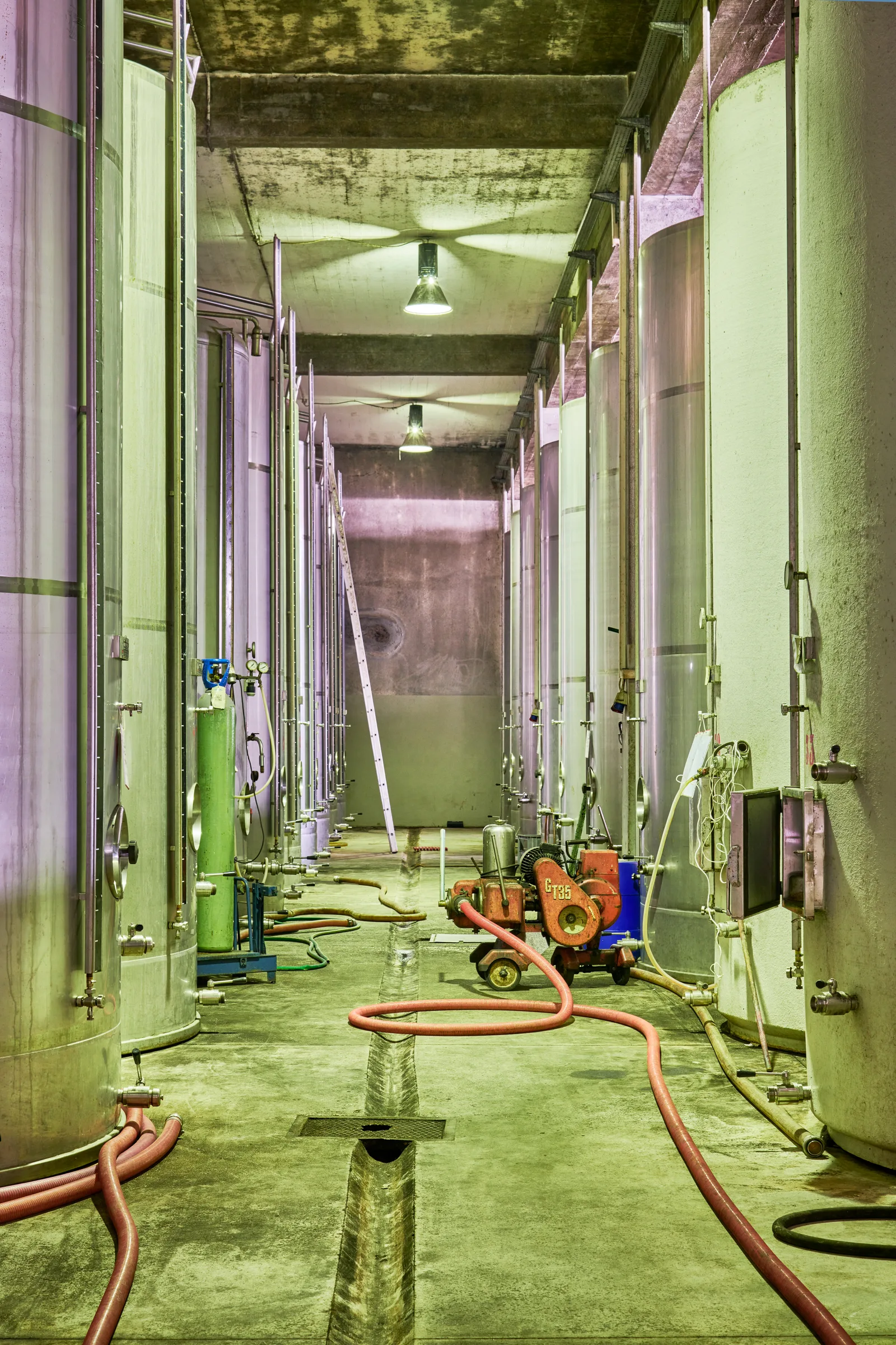 Adega de Arruda dos Vinhos — fotografia 12
