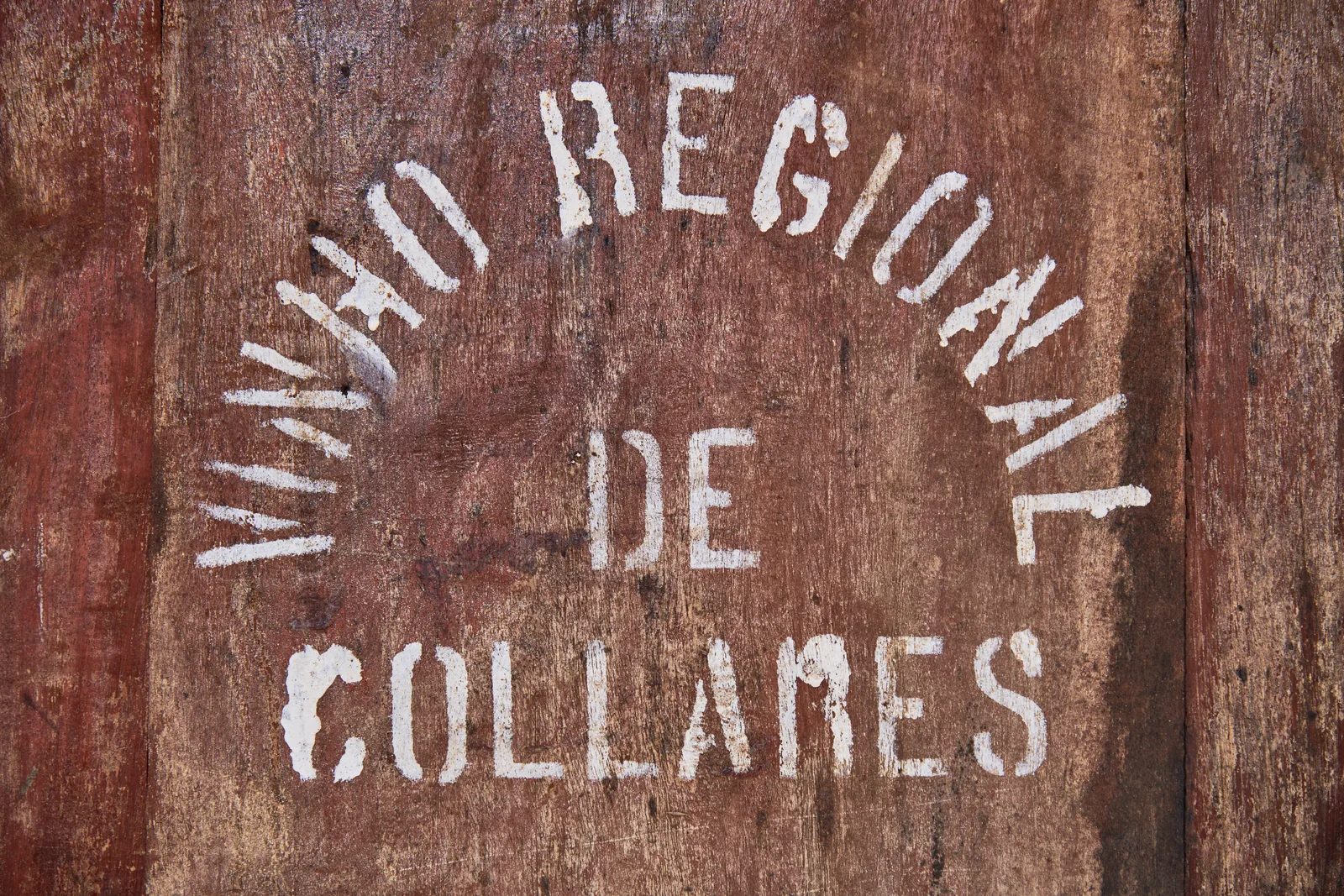 Adega Regional de Colares — fotografia 4