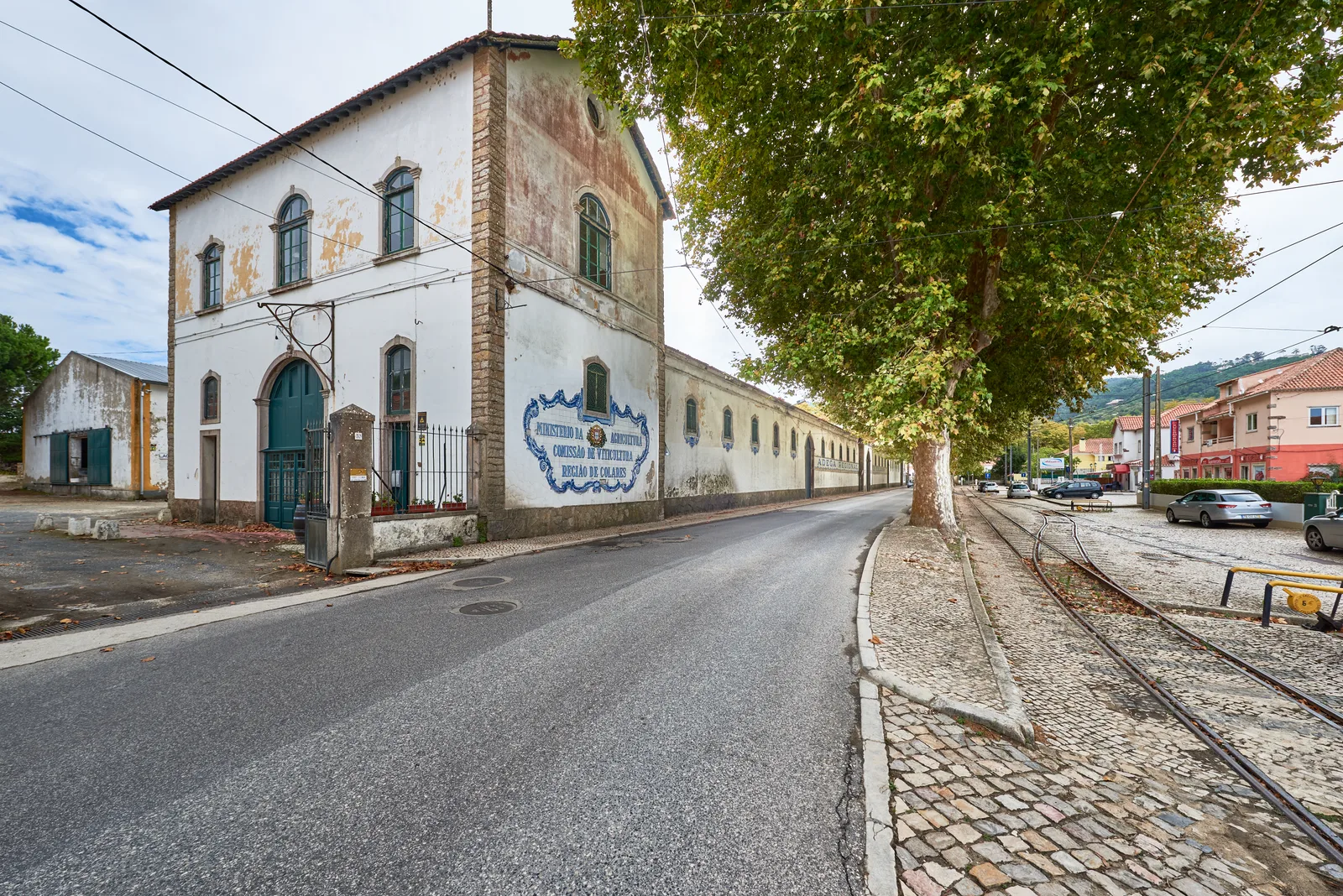 Adega Regional de Colares — fotografia 7