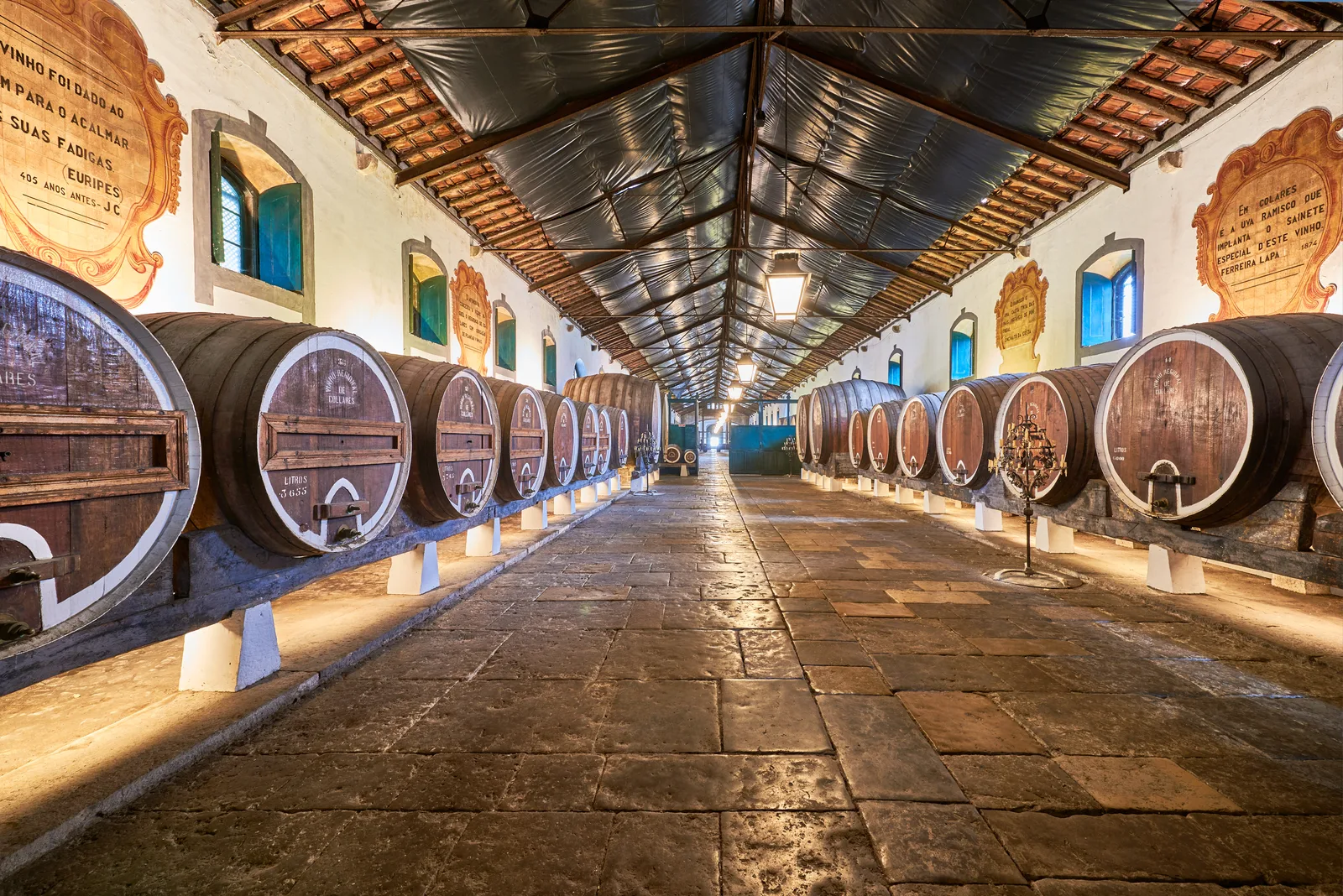 Adega Regional de Colares — fotografia 9