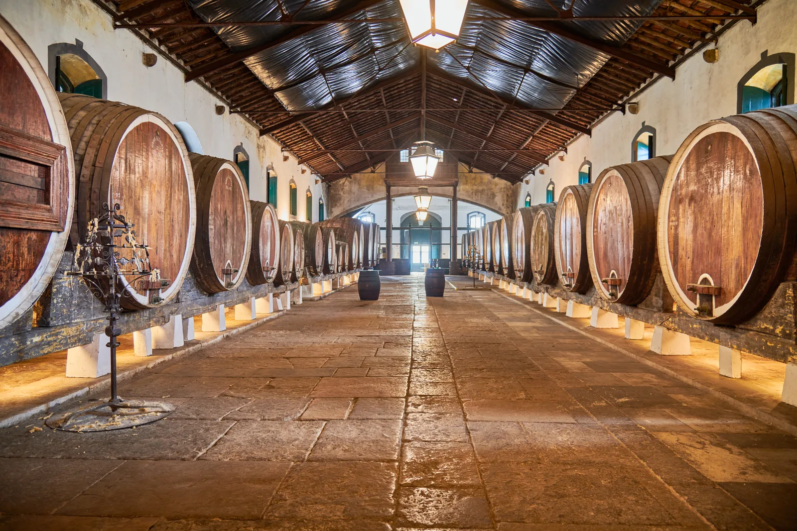 Adega Regional de Colares — fotografia 14