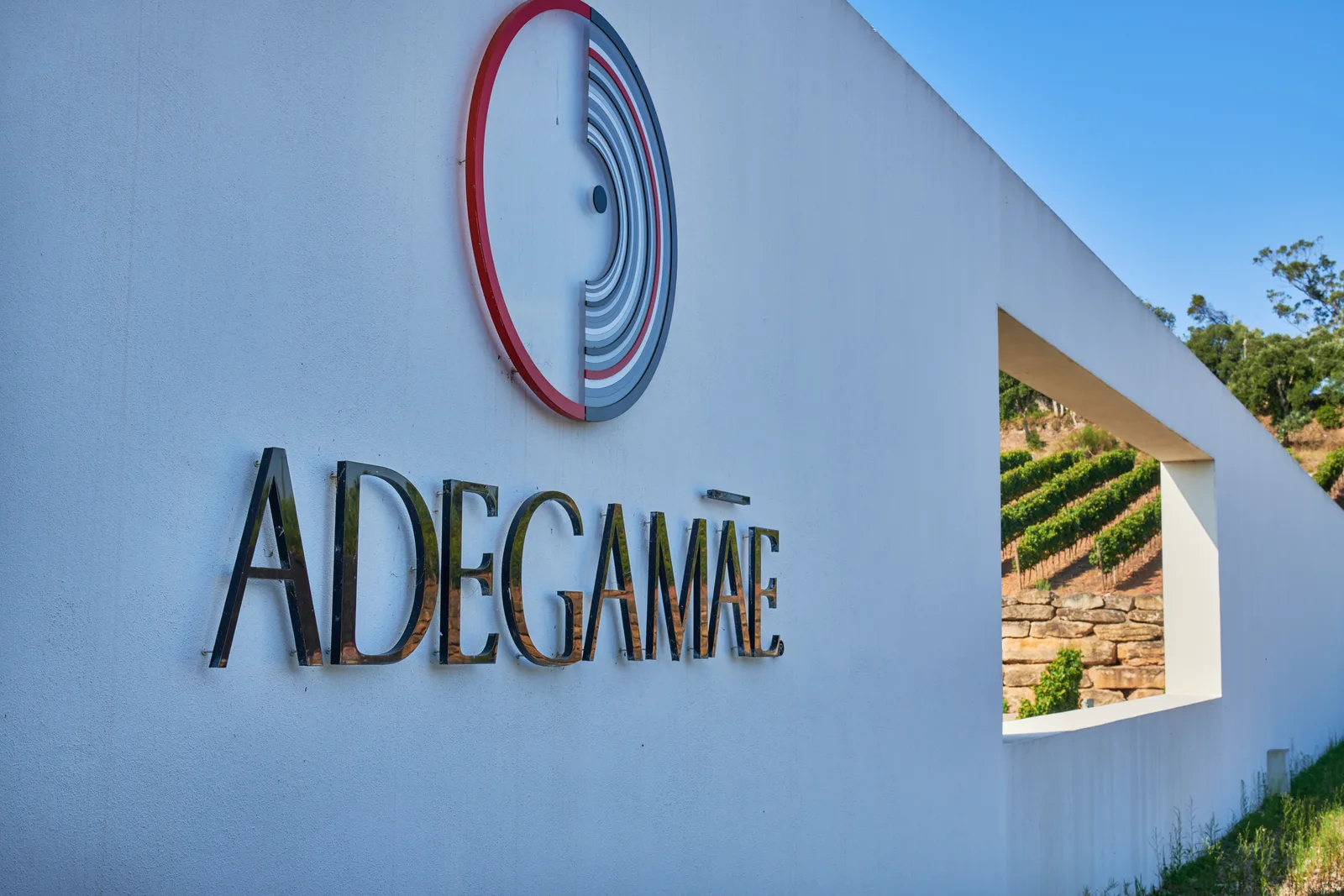AdegaMãe — fotografia 5