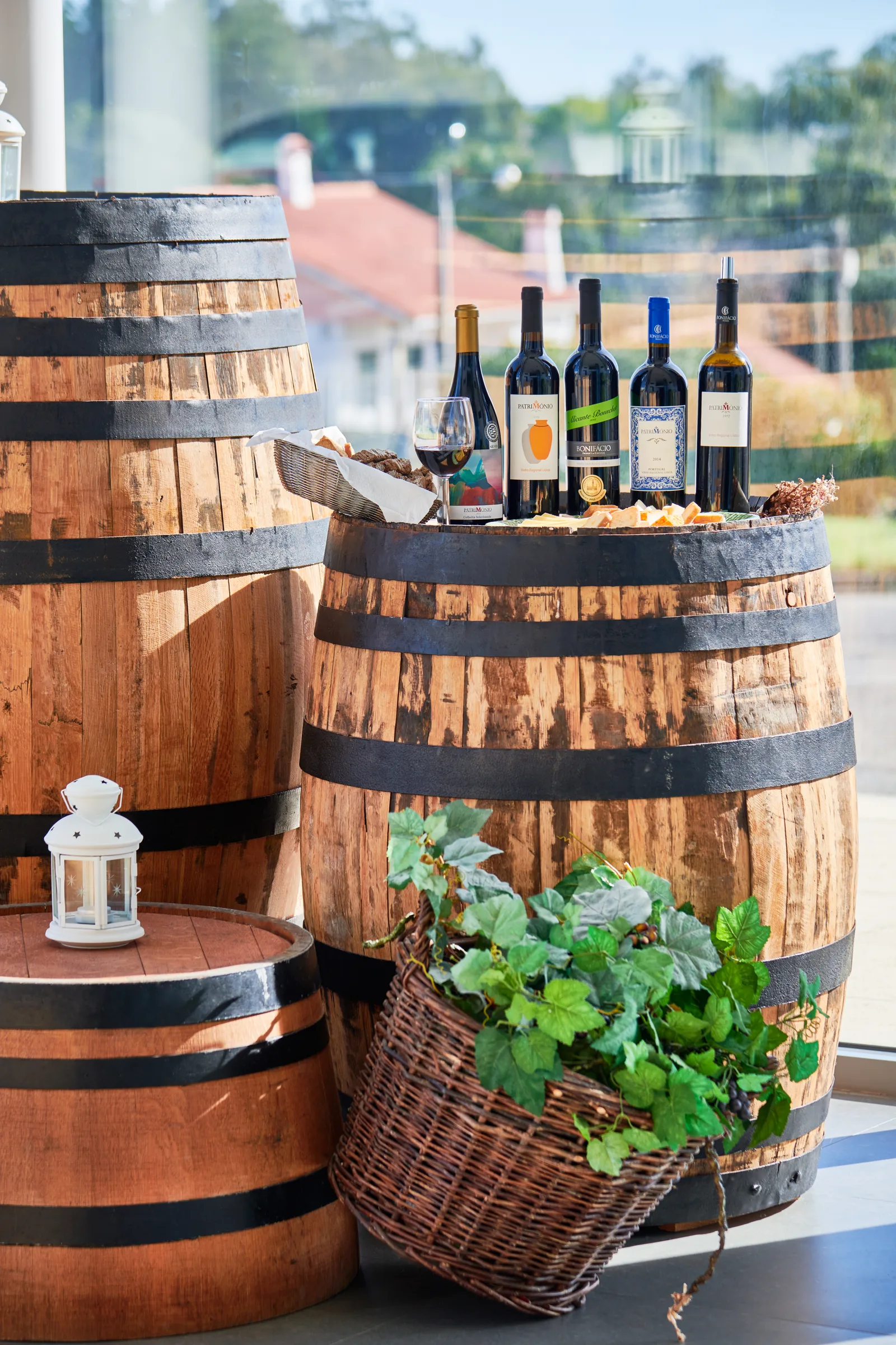 Bonifácio Wines — fotografia 6