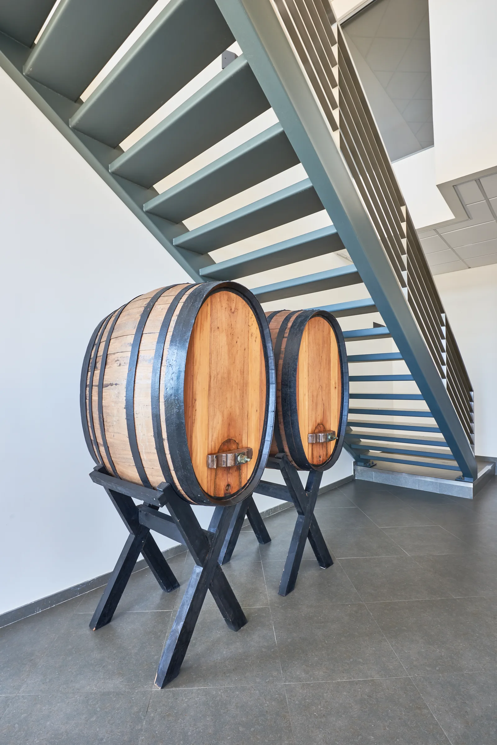 Bonifácio Wines — fotografia 7