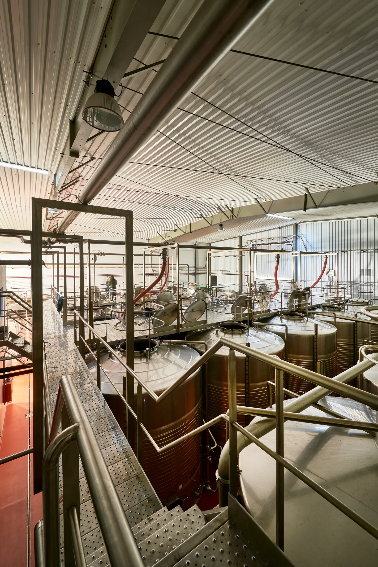 Bonifácio Wines — fotografia 8