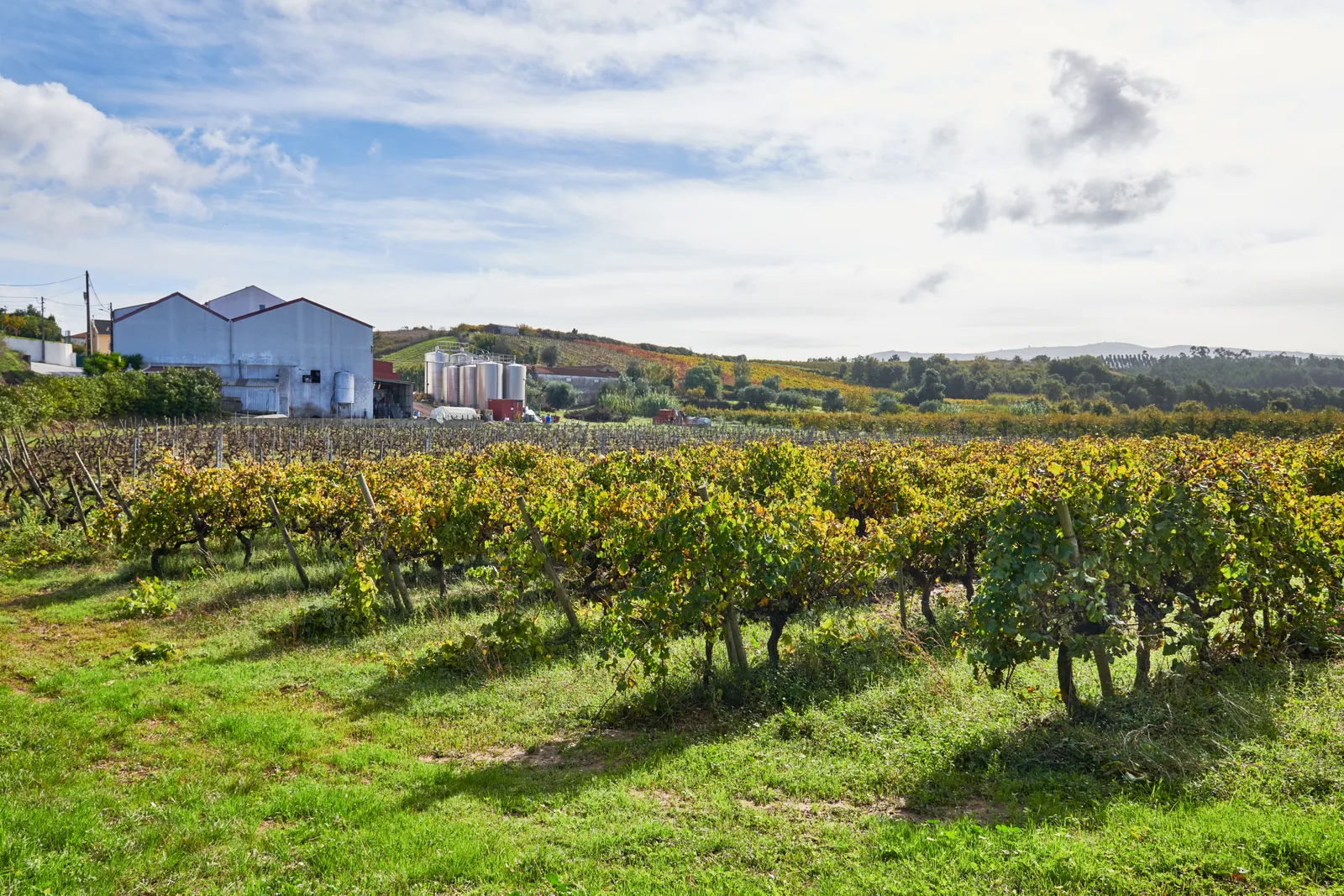 Casa Agrícola Nicolau — fotografia 2