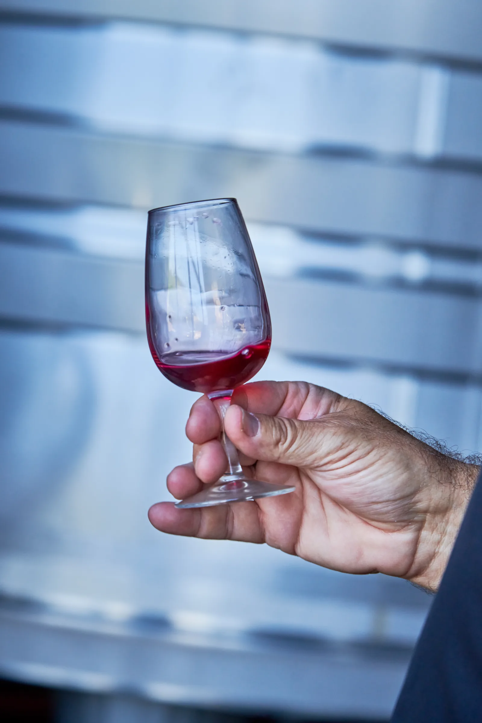 Casa Romana Vini — fotografia 7