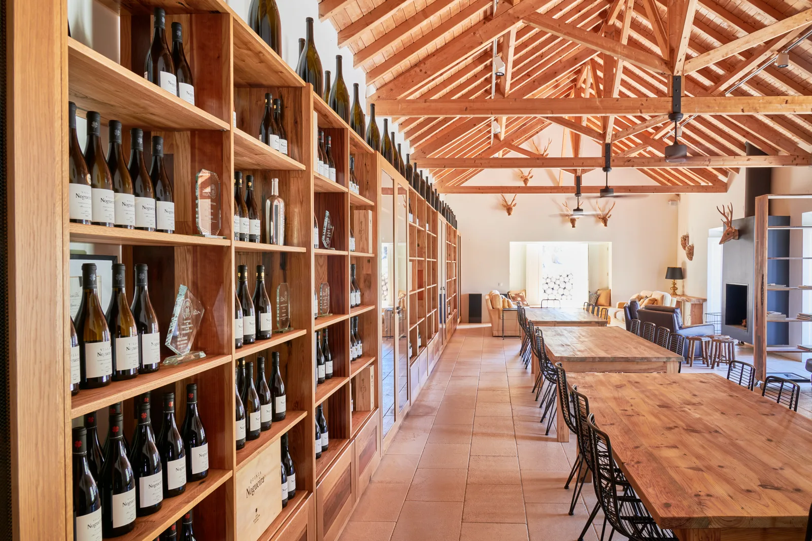 Casa Romana Vini — fotografia 13