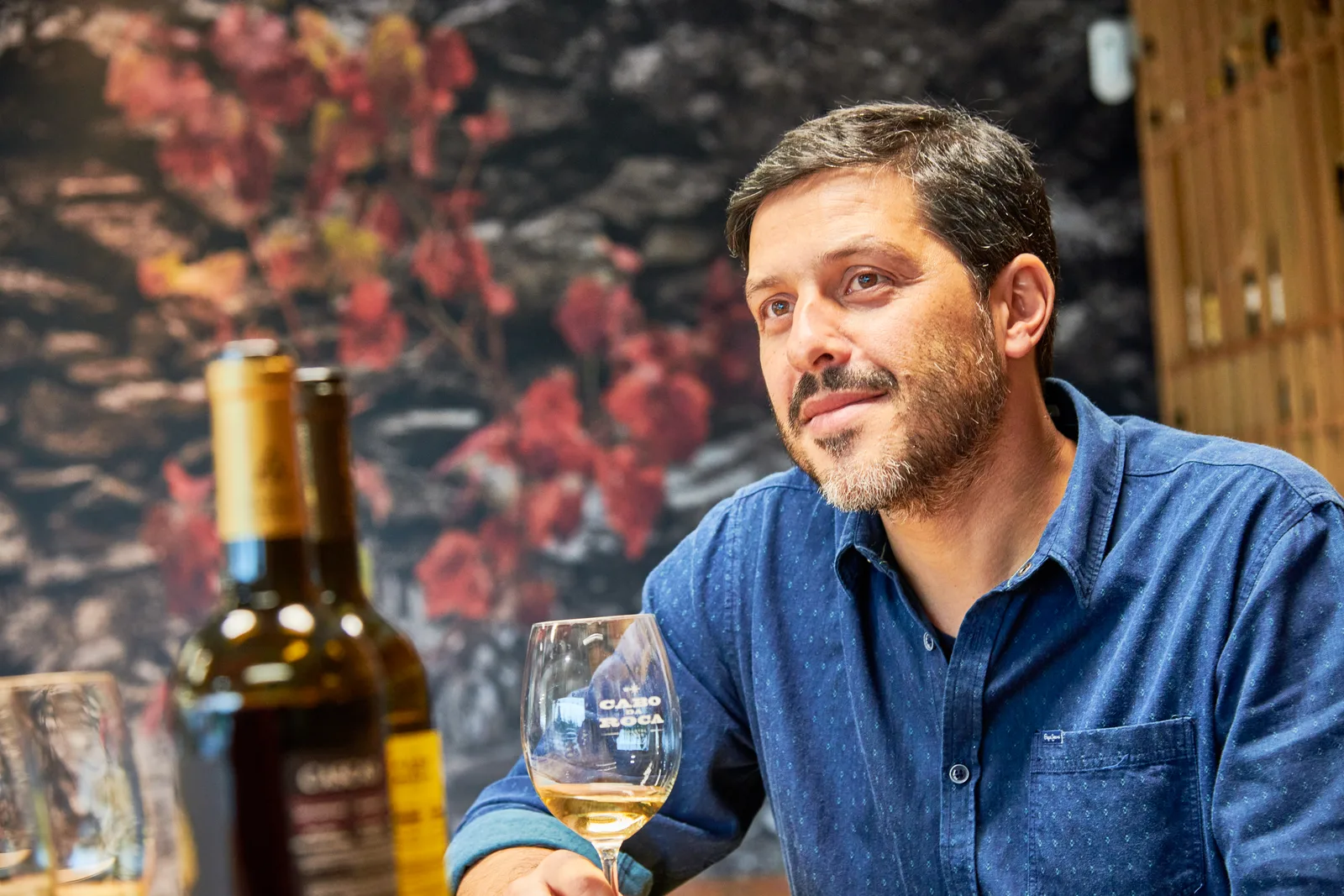 Casca Wines — fotografia 1