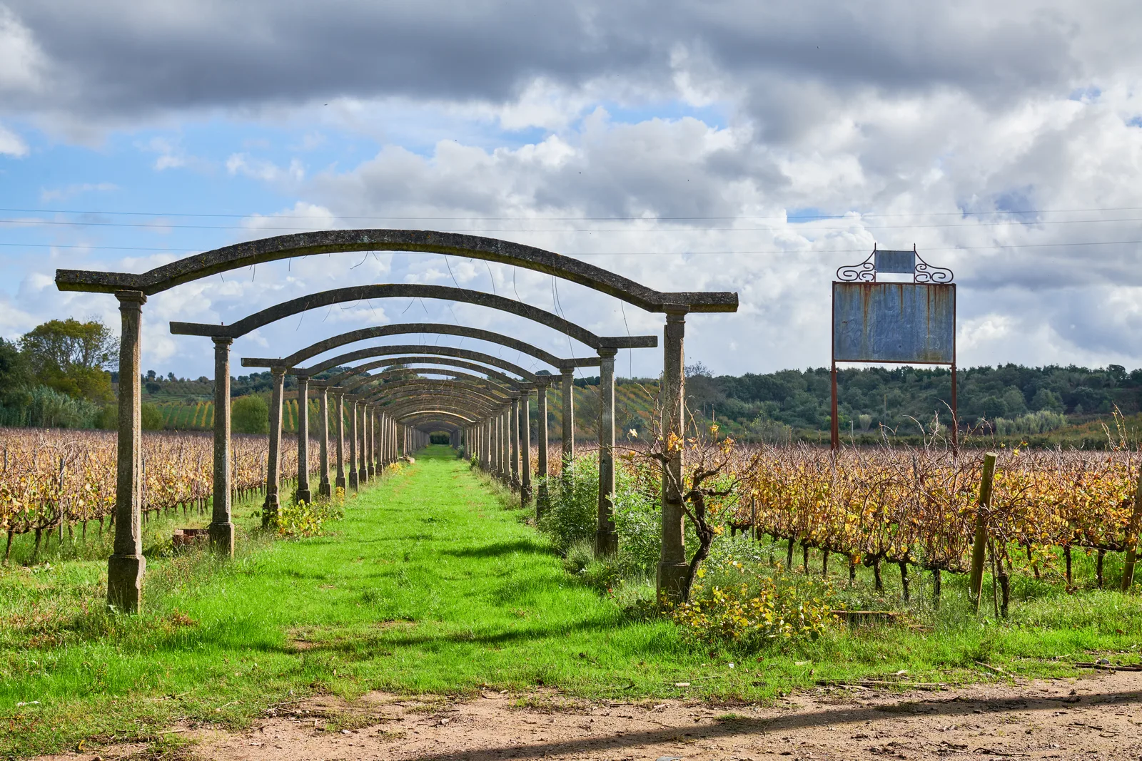 Companhia Agrícola do Sanguinhal — fotografia 12