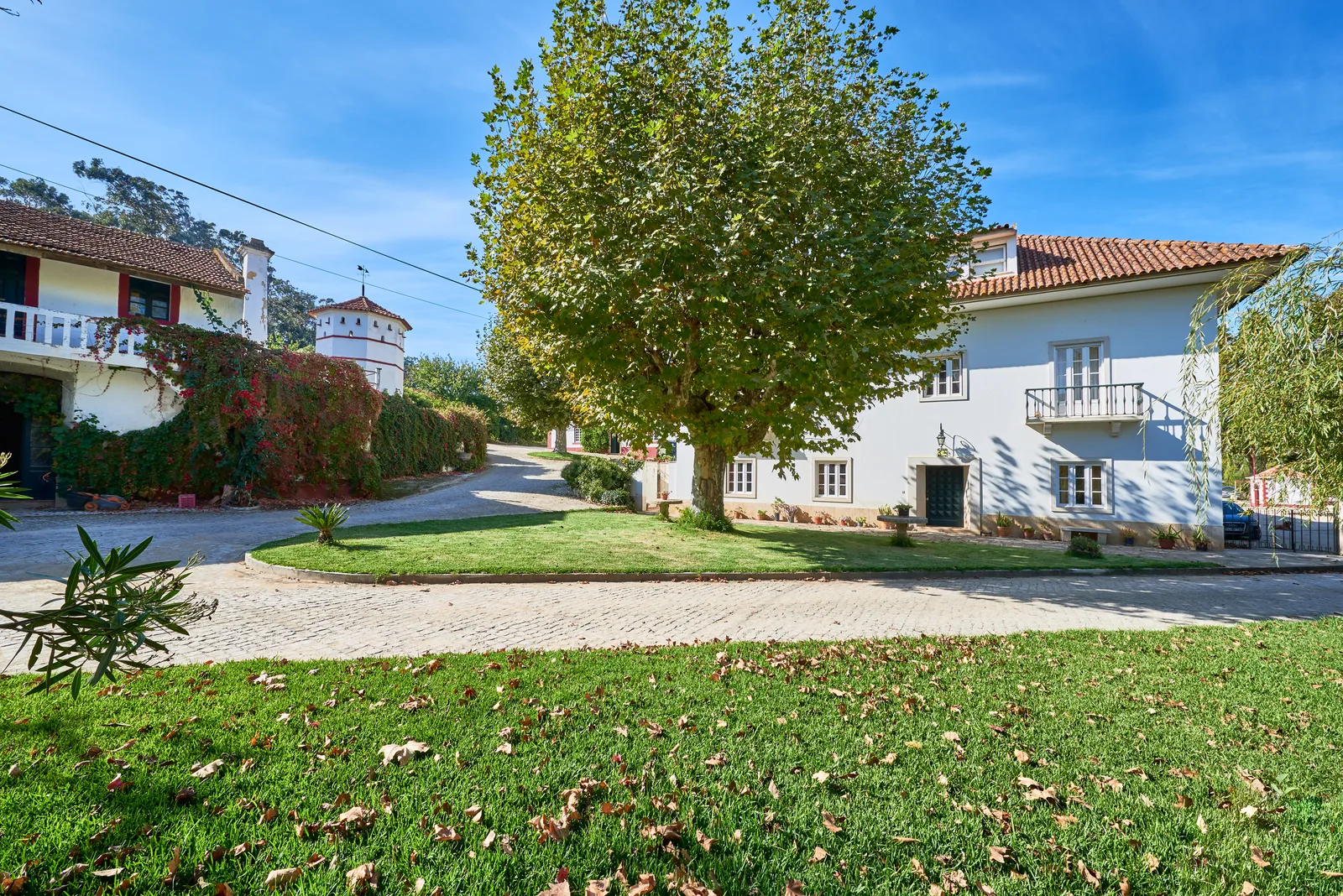 DFJ Vinhos — fotografia 3