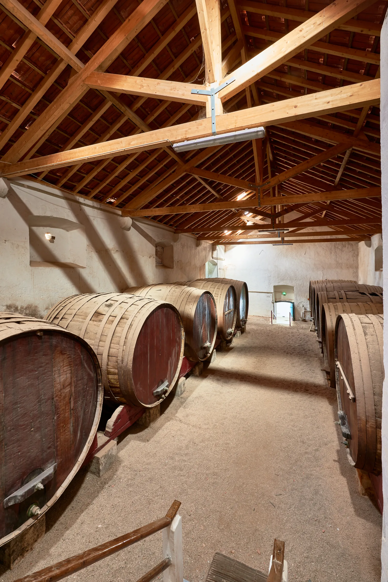DFJ Vinhos — fotografia 8